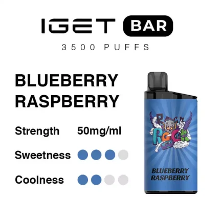 IGET BAR 3500 Puffs Blueberry Raspberry Flavour Rechargeable Disposable Vape